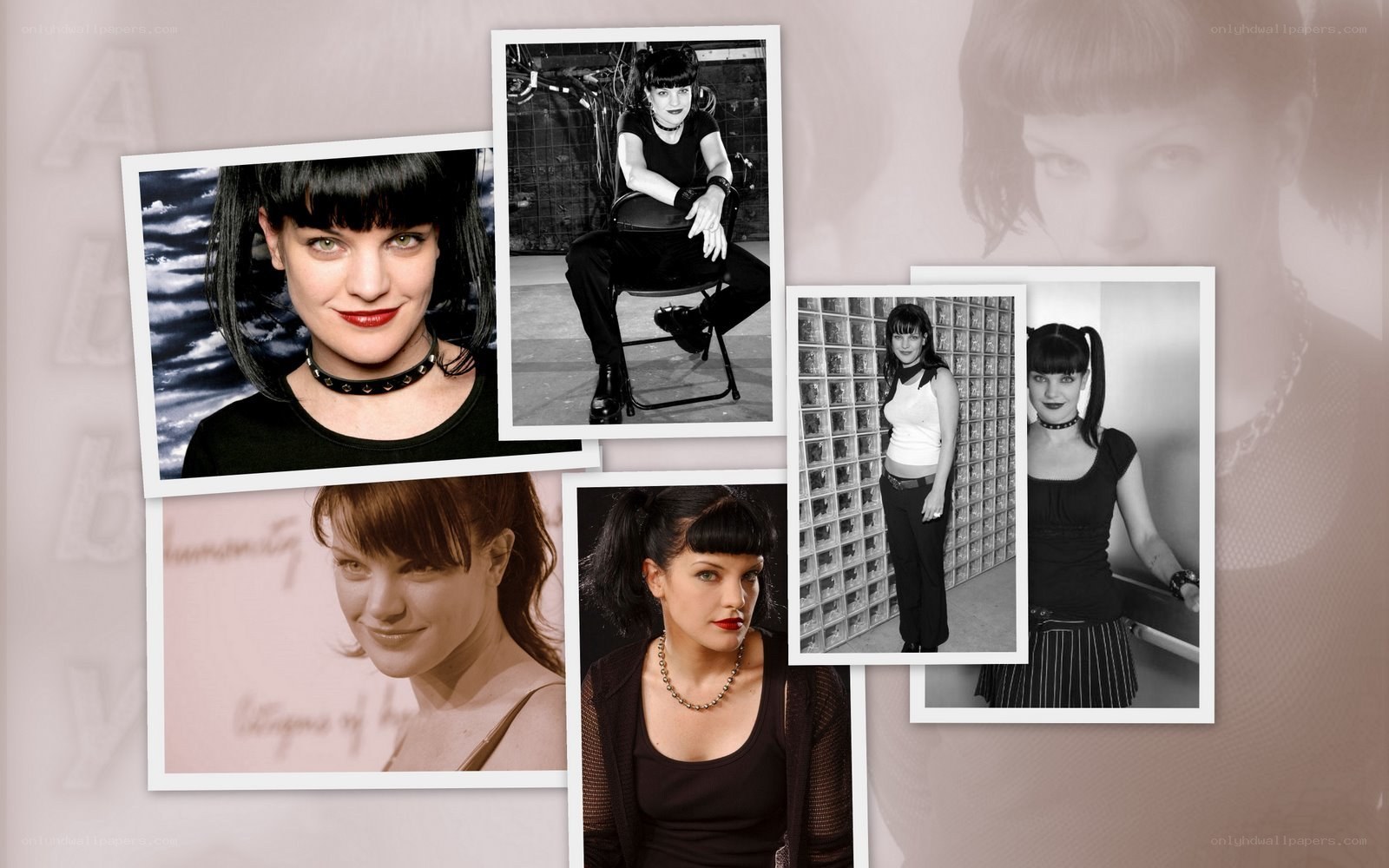 Amy Lee photo collage