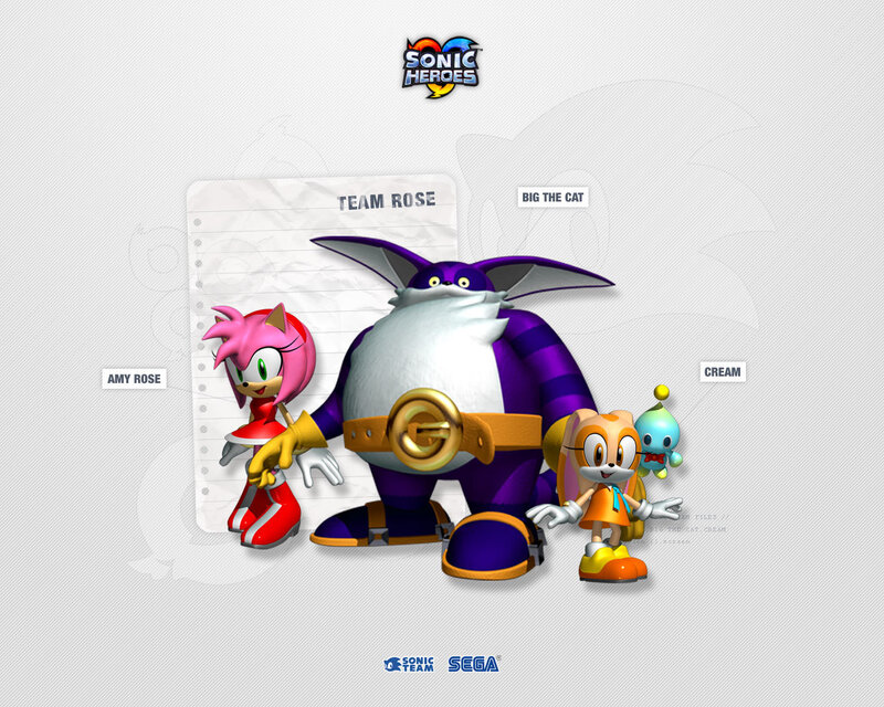 Amy Rose and Friends