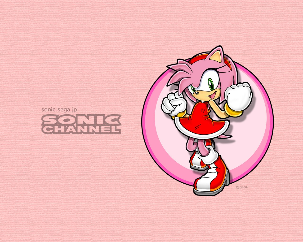 Amy Rose character art