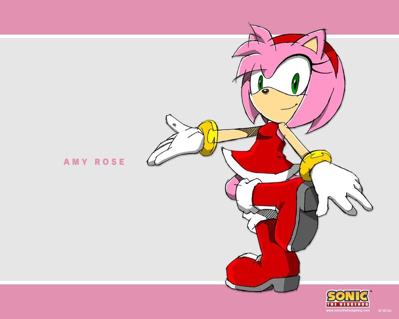 Amy Rose character art