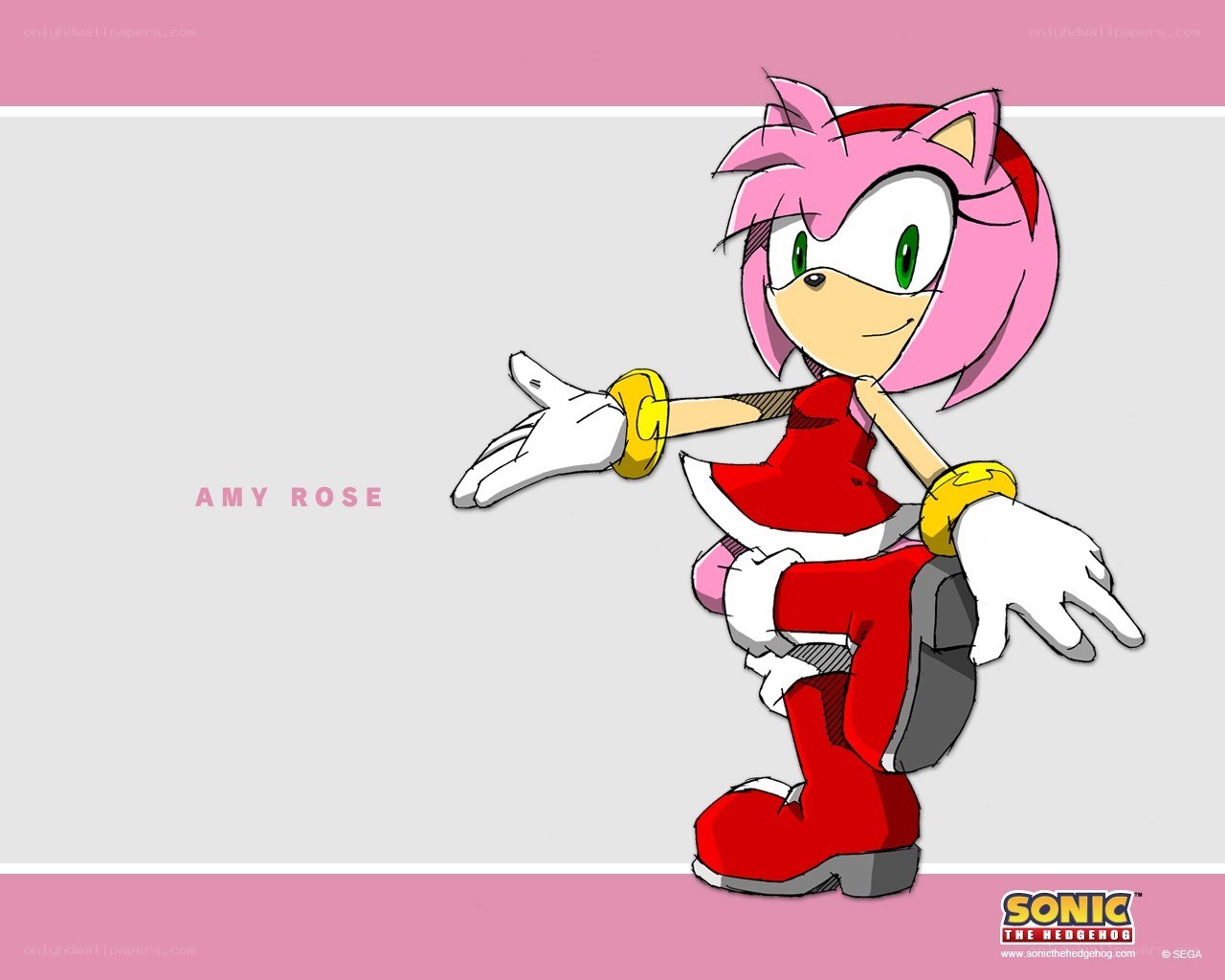 Amy Rose character art