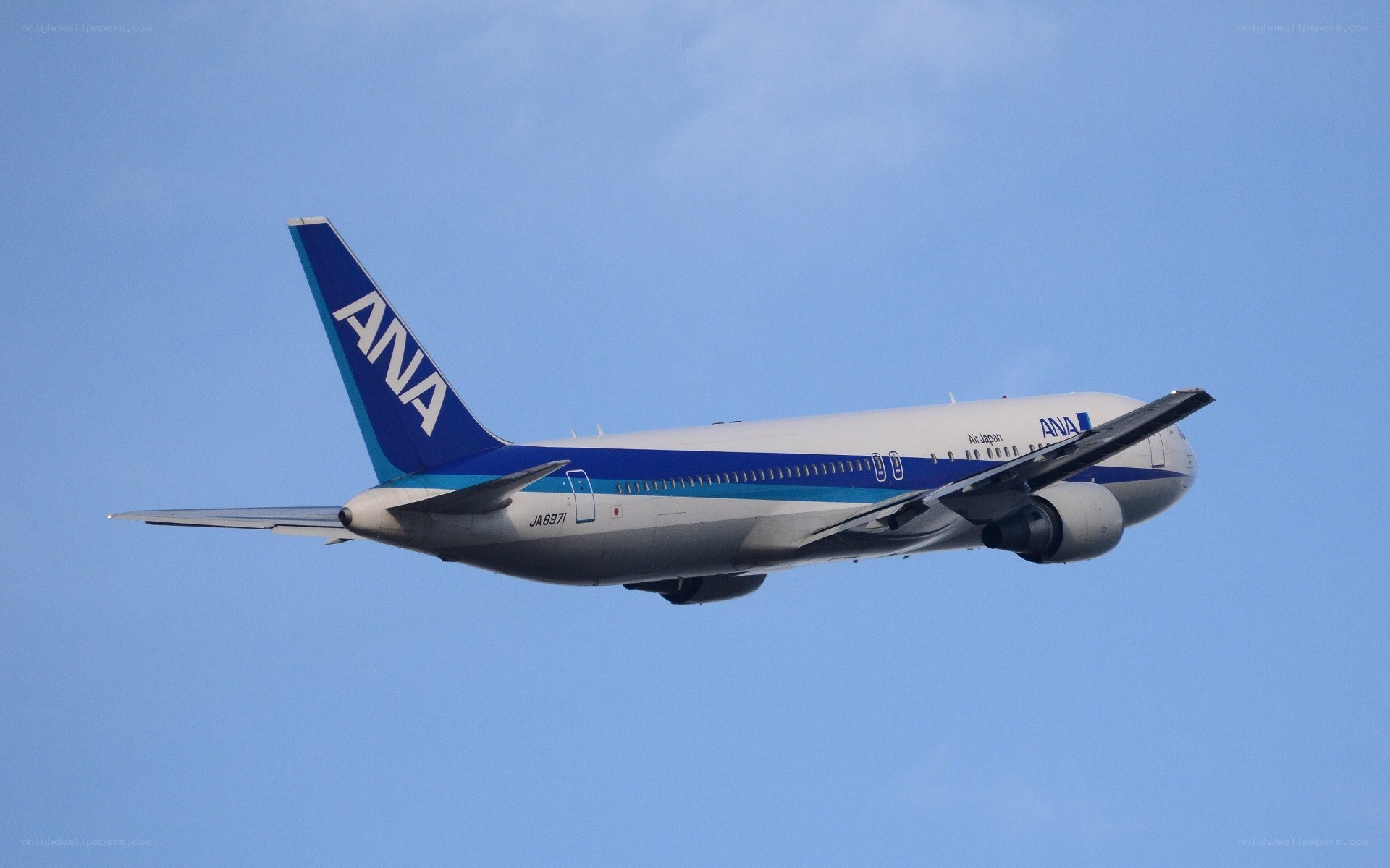 ANA airplane in flight