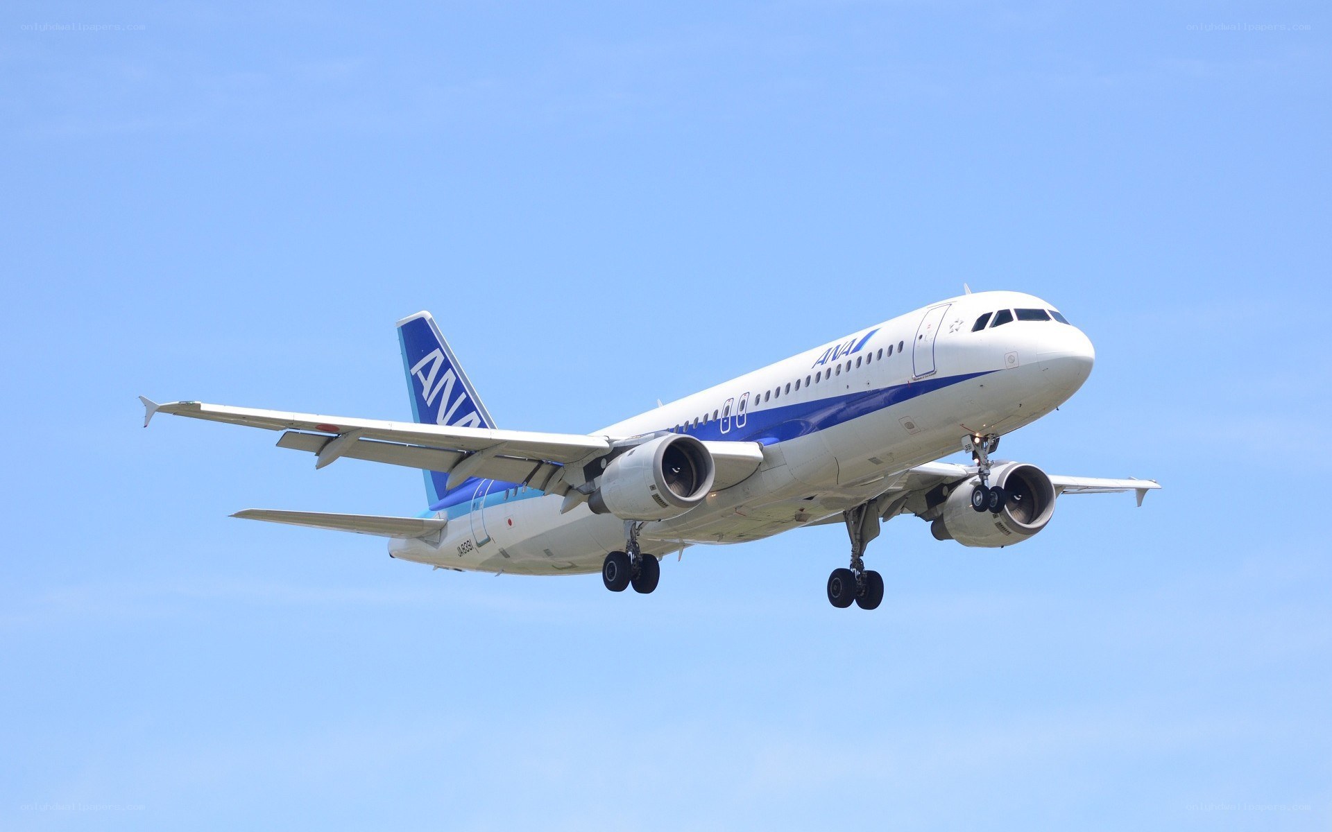 ANA airplane in flight