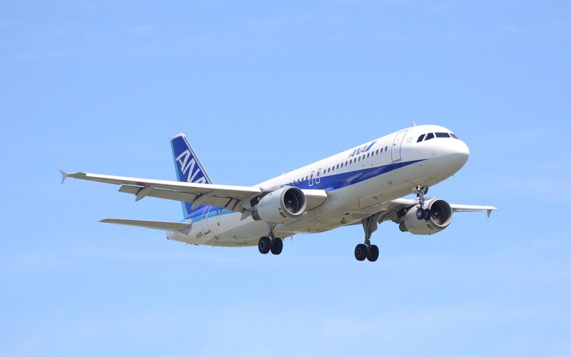 ANA Airplane in Flight — Blue, Calm