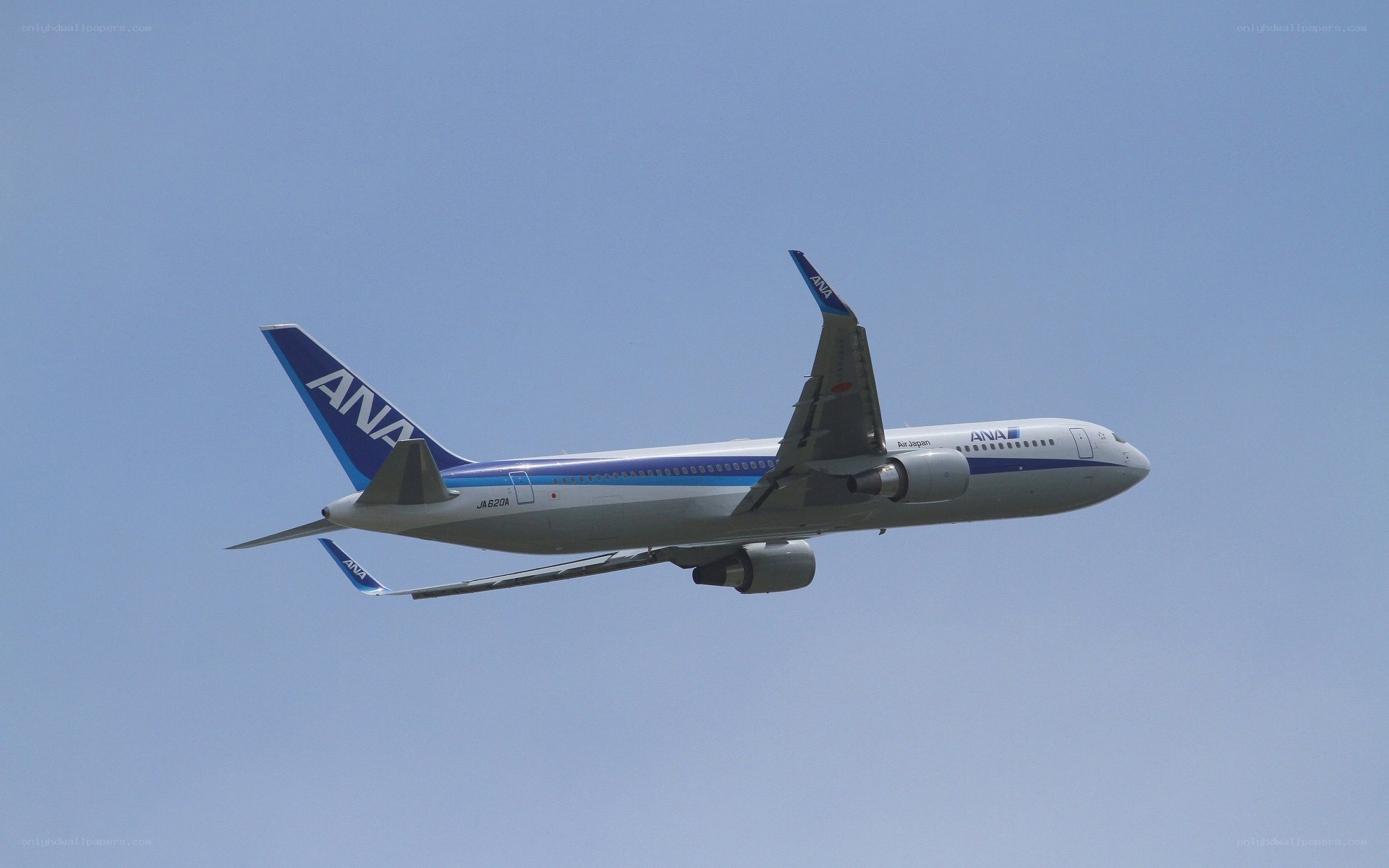 ANA airplane in flight