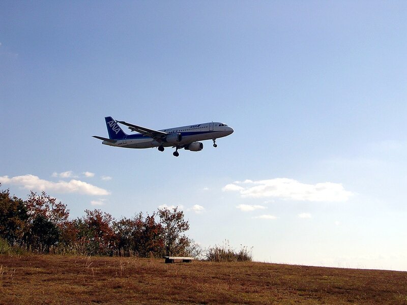 ANA airplane taking off