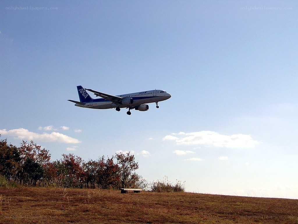 ANA airplane taking off