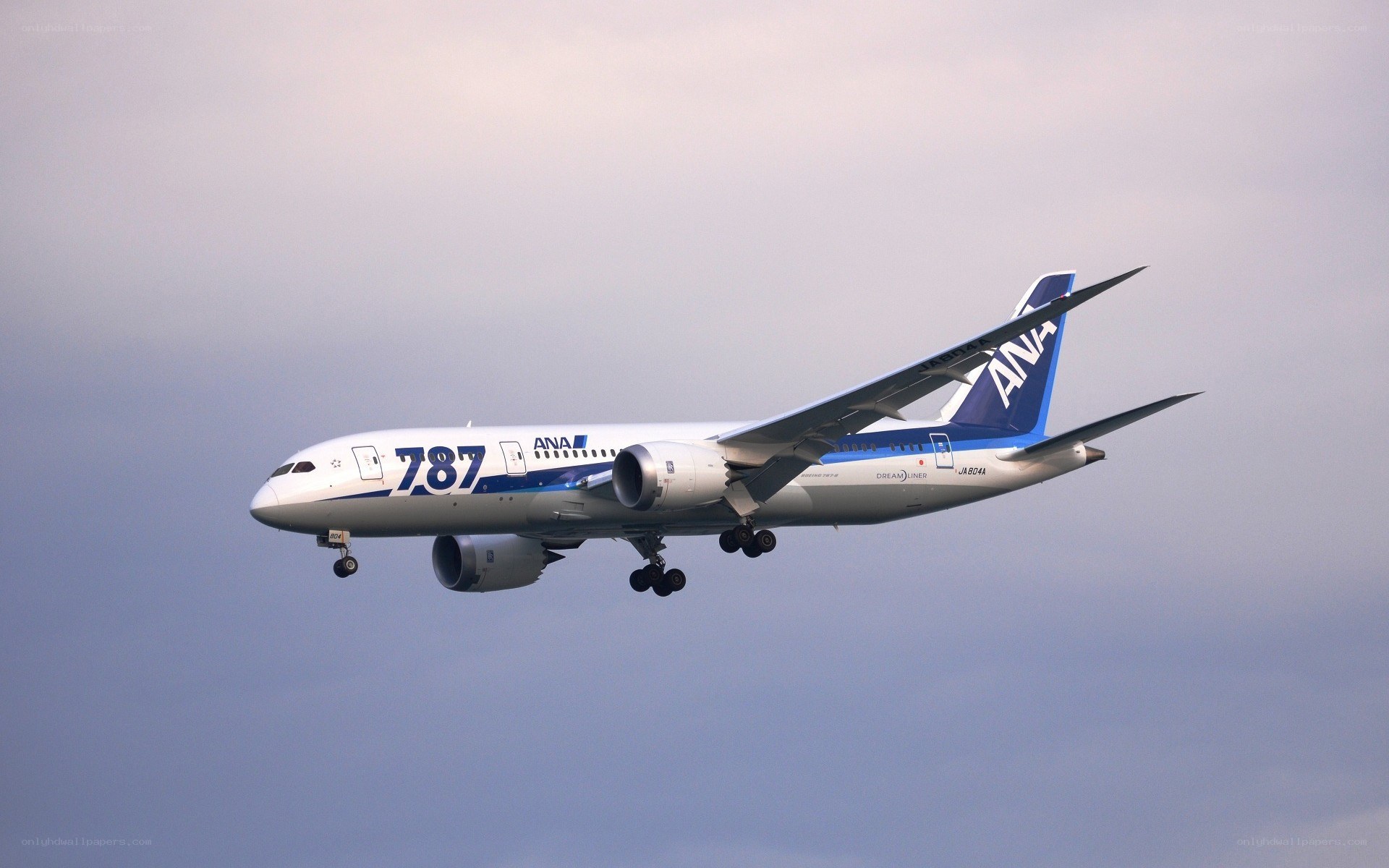 ANA Boeing 787 in flight