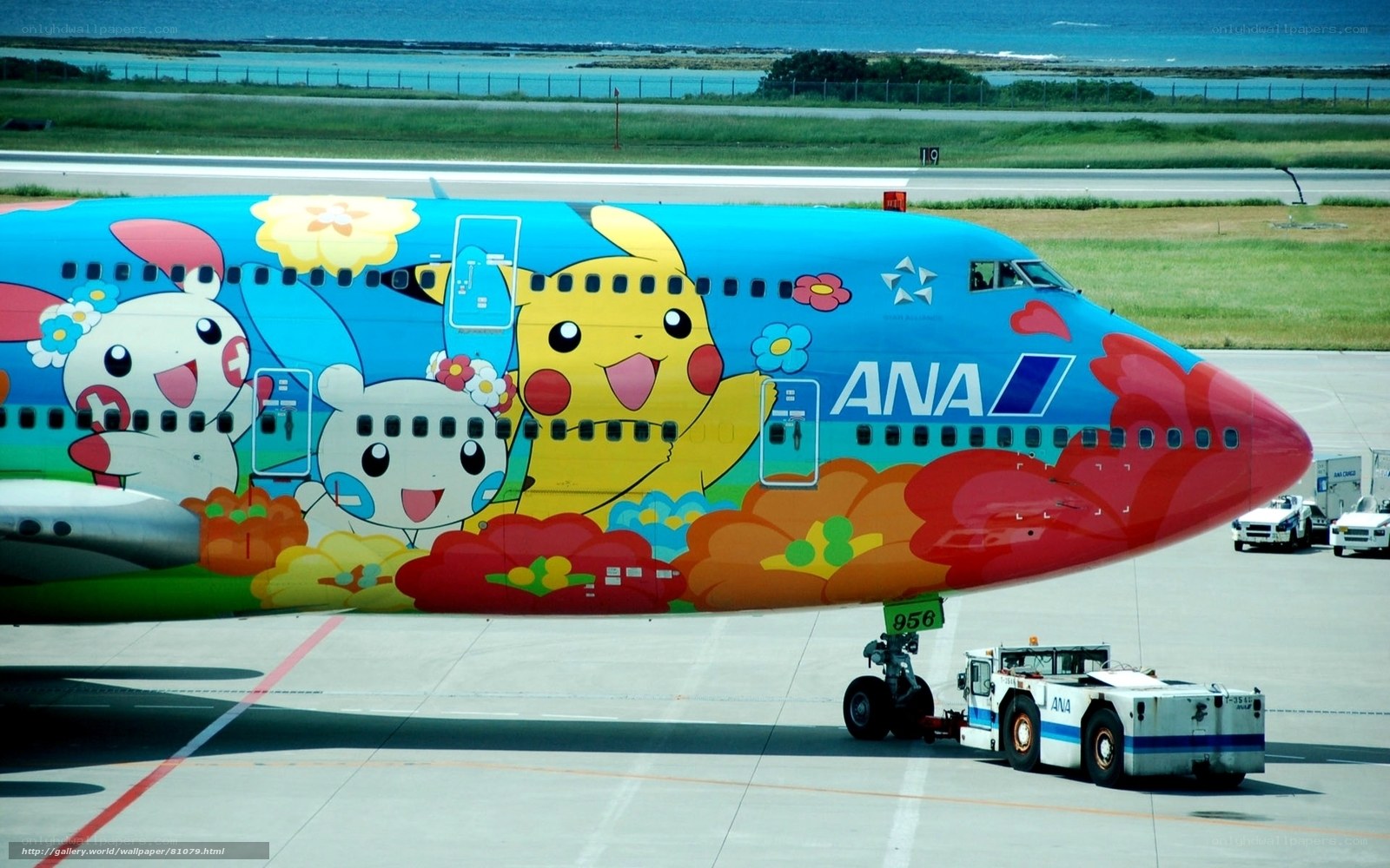 ANA Pokémon airplane on tarmac