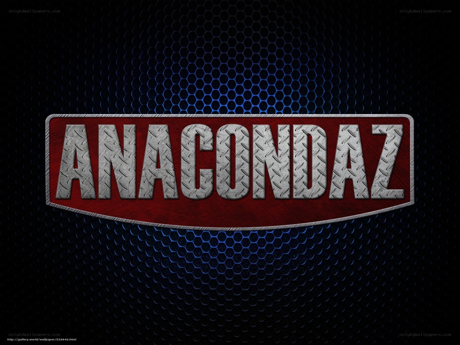 Anacondaz logo on mesh background