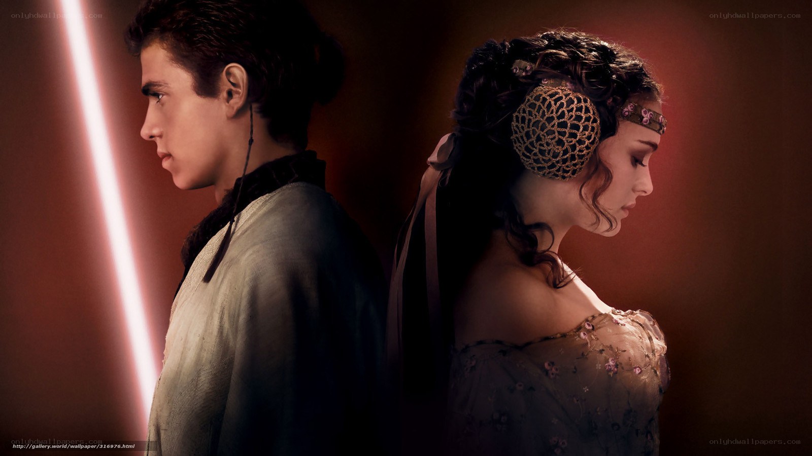 Anakin and Padme in profile