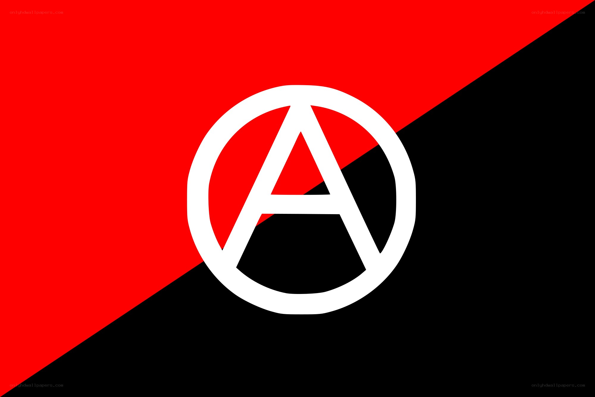 Anarchist flag with symbol