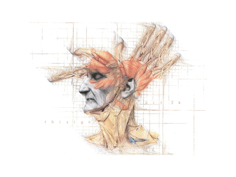 anatomical art of face and hand