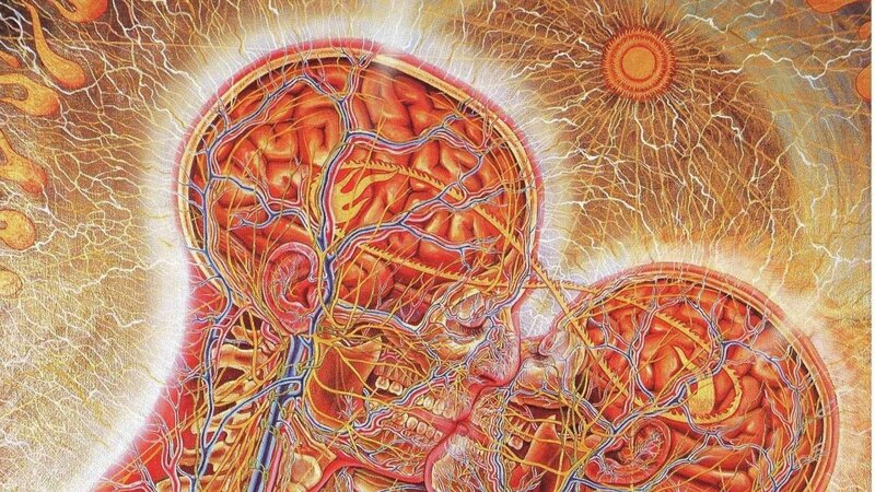 Anatomical Brain Illustration — Red, Dramatic
