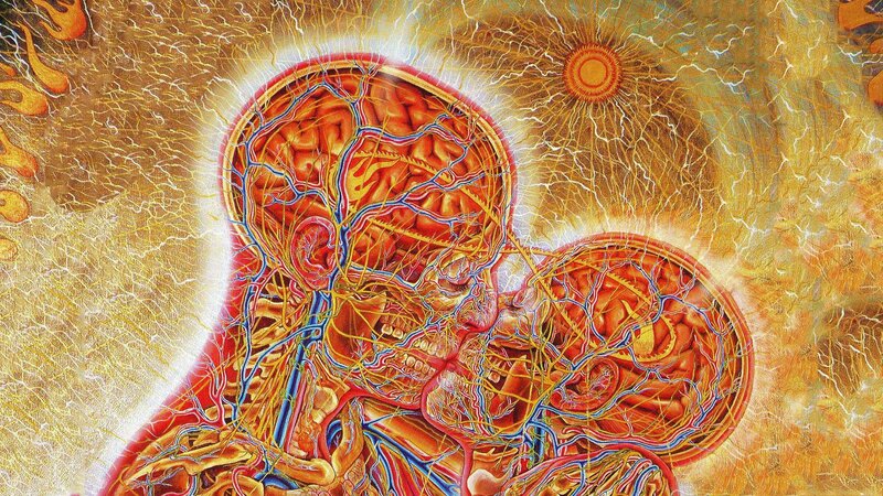 Anatomical Brain Illustration — Red