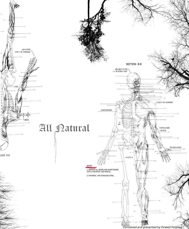 Anatomical diagram of human body