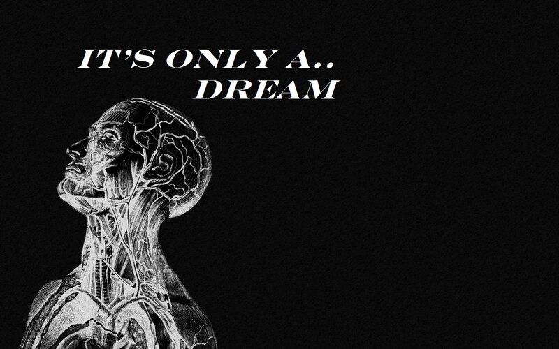 anatomical dream illustration