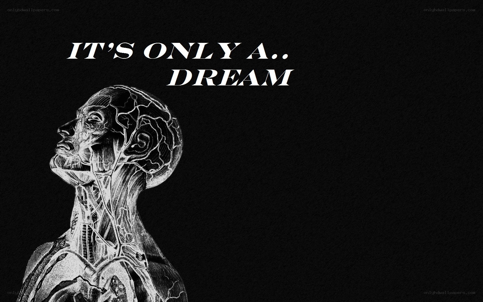 anatomical dream illustration