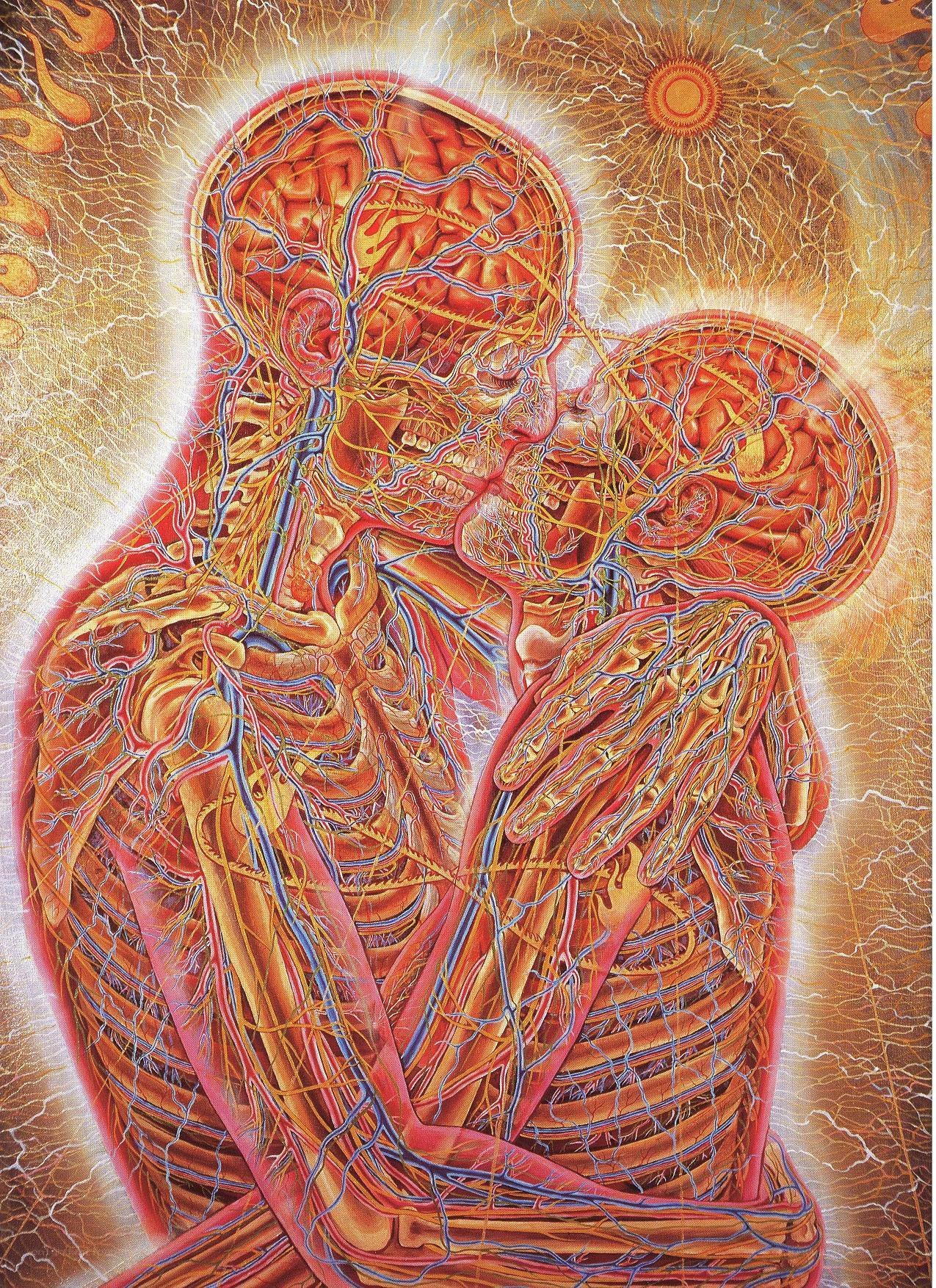 Anatomical embrace artwork