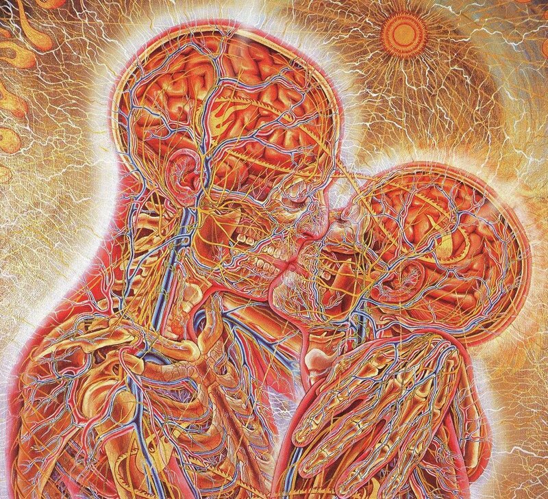 Anatomical embrace artwork