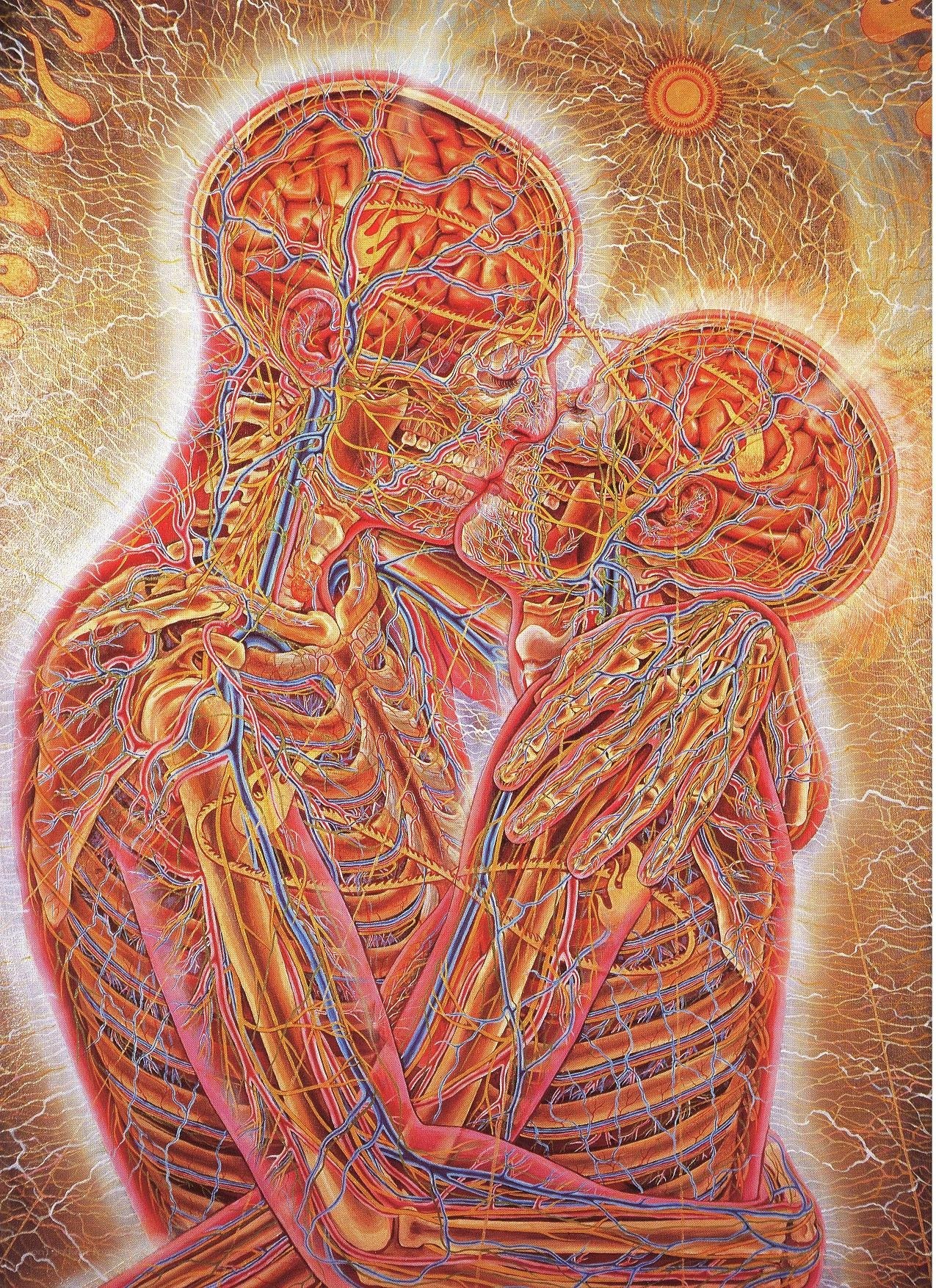 Anatomical embrace artwork