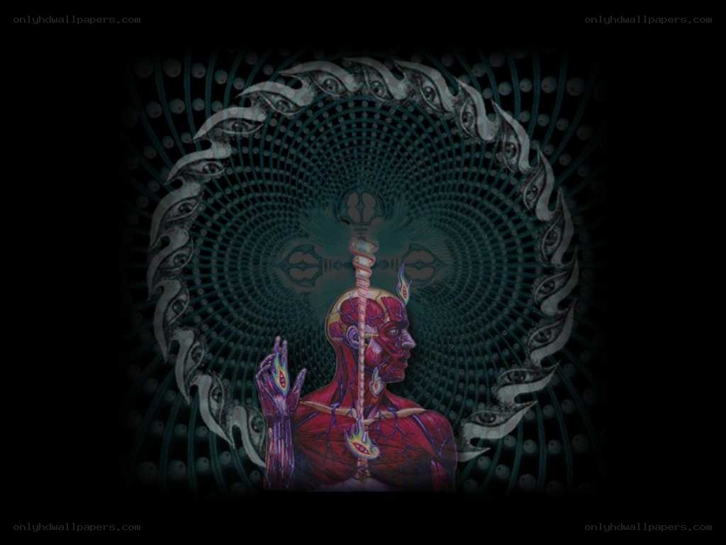 anatomical figure in mandala
