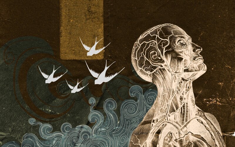 Anatomical figure with birds