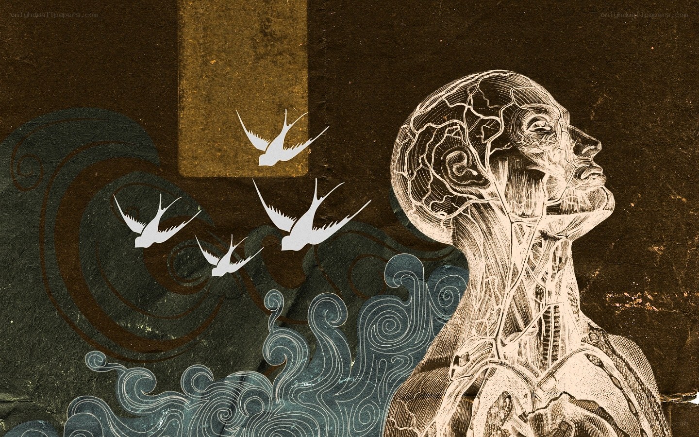 Anatomical figure with birds