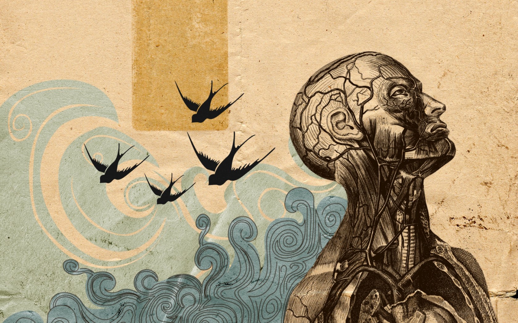 Anatomical figure with birds