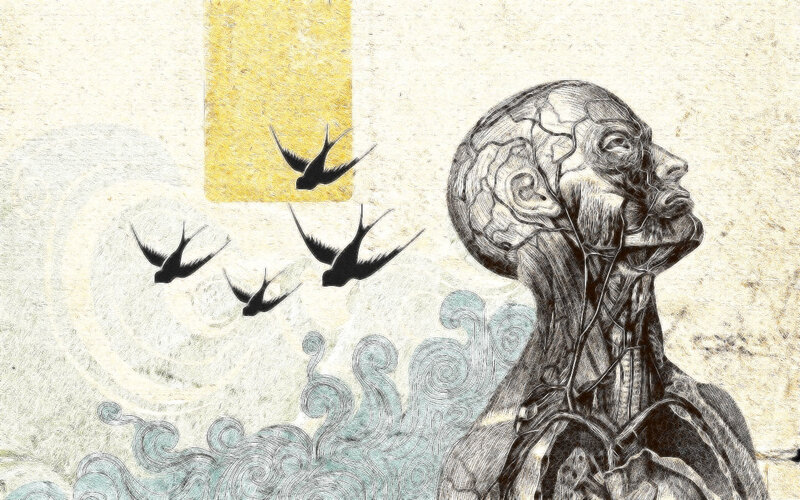 Anatomical Figure with Birds — Beige