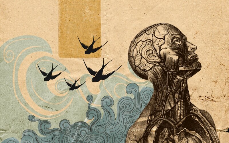 Anatomical Figure with Birds — Brown