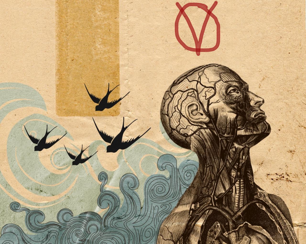 Anatomical figure with birds