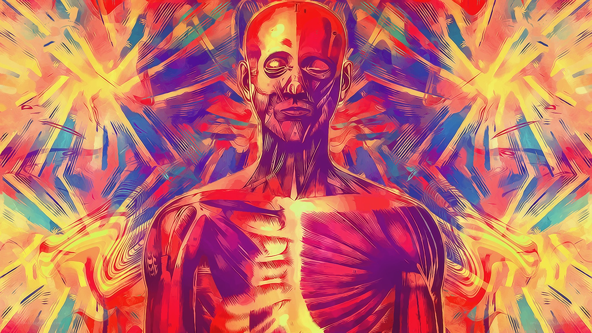 anatomical figure with vibrant background