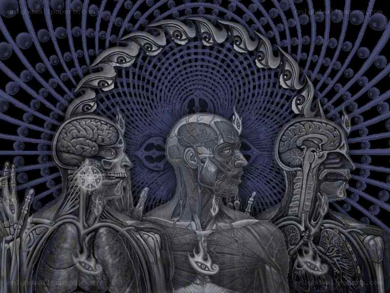 anatomical figures in a mandala