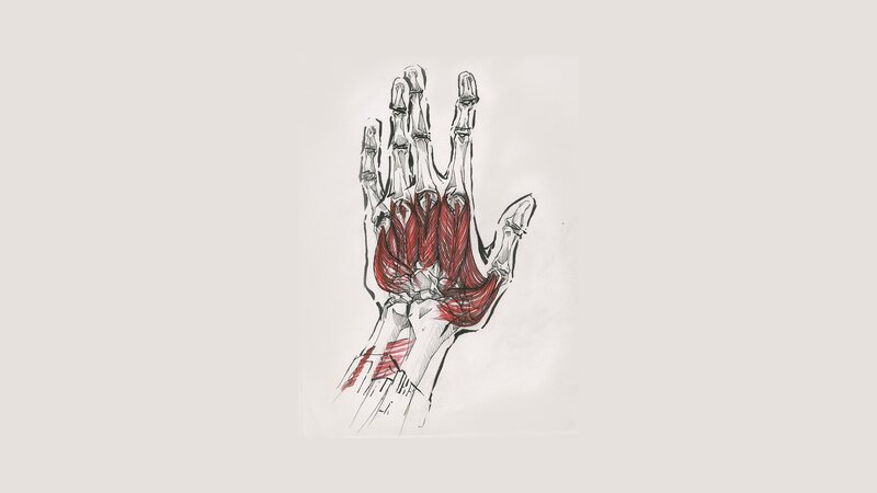 Anatomical Hand Drawing — Red