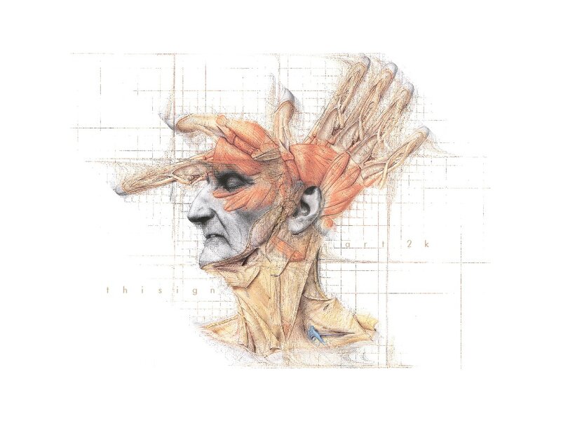 Anatomical Head and Hand