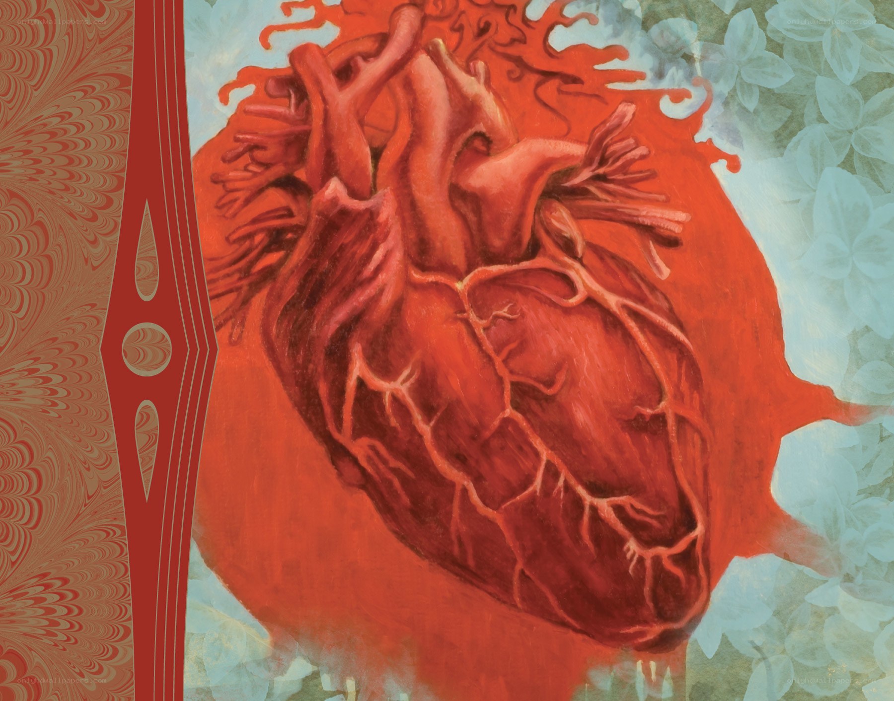 Anatomical heart illustration