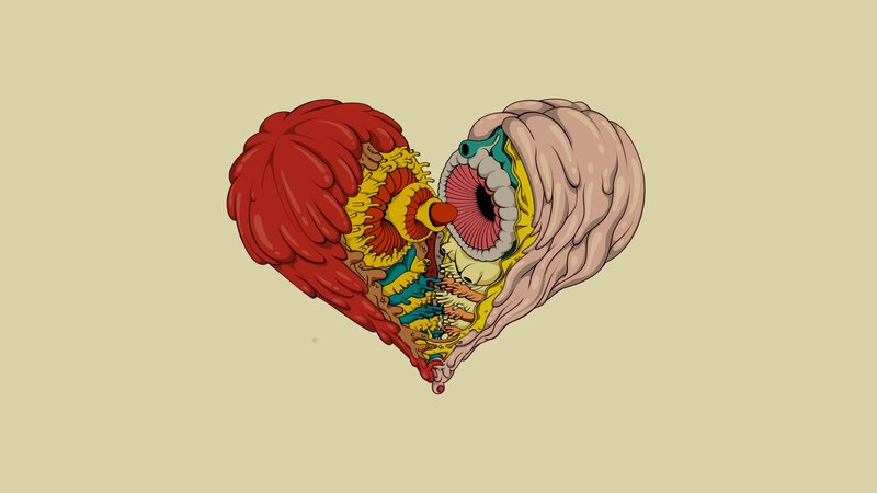 Anatomical Heart Illustration — Beige