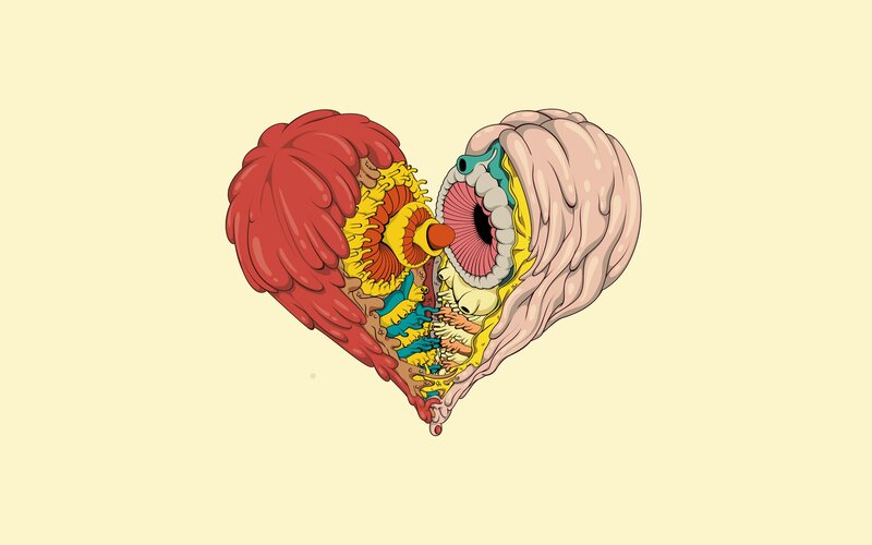 Anatomical Heart Illustration — Red, Dramatic