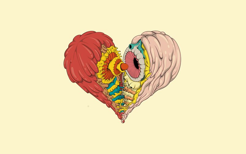Anatomical Heart Illustration — Red
