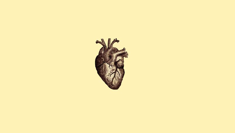 Anatomical Heart Illustration — Yellow, Neutral