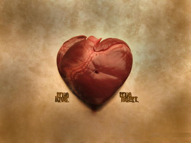 Anatomical Heart