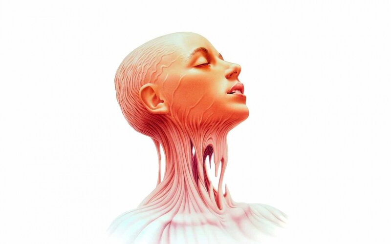 anatomical human figure