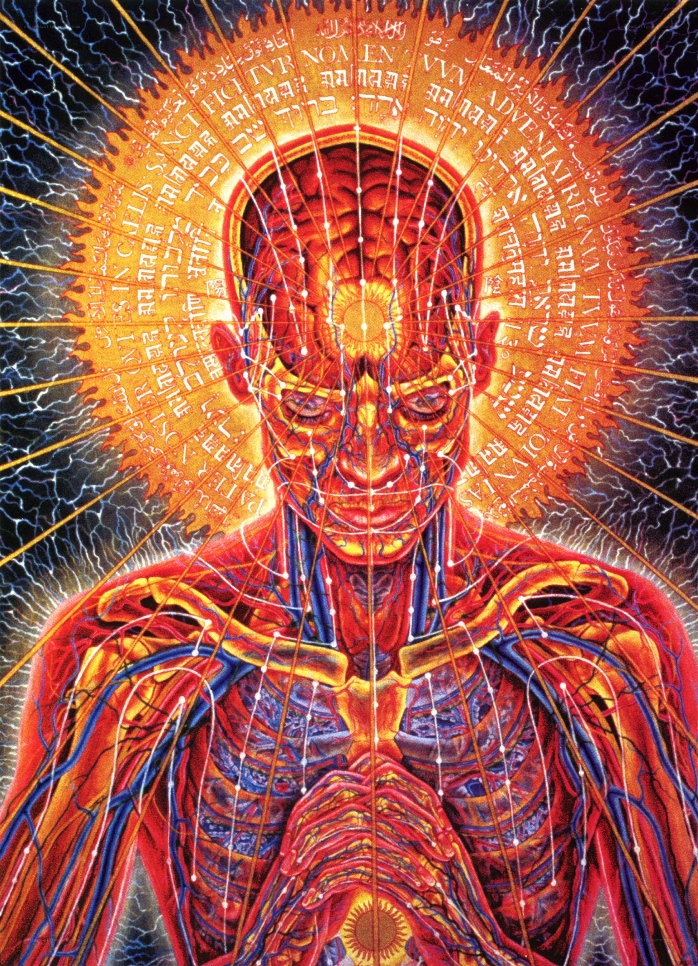 Anatomical human figure with energy lines