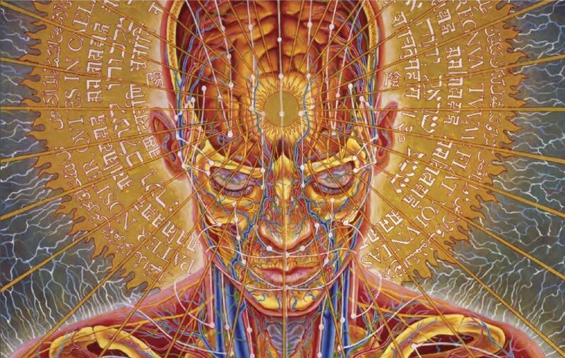 Anatomical human head with text