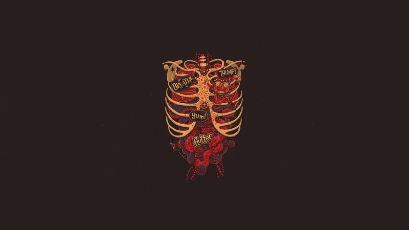 Anatomical Illustration of Chest