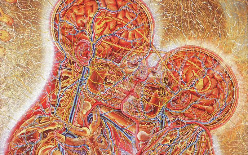 Anatomical illustration of human heads
