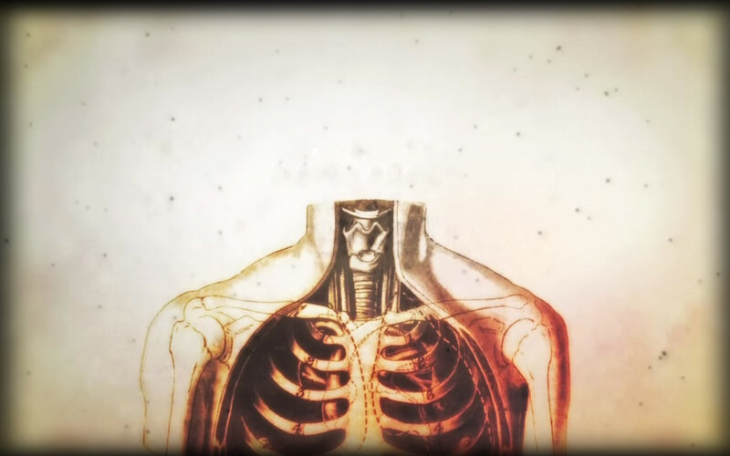 anatomical illustration of torso