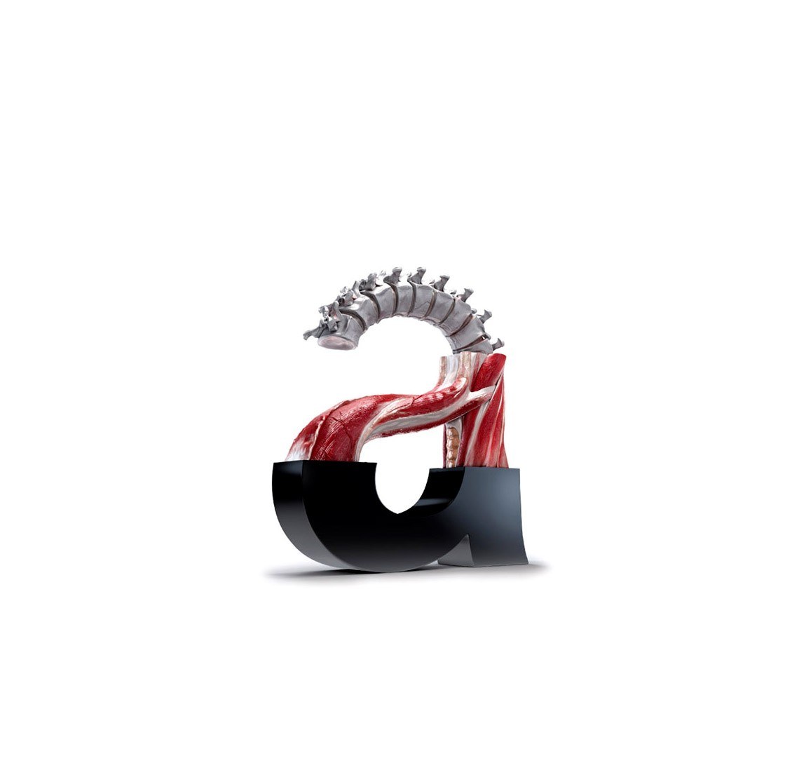 Anatomical letter G sculpture