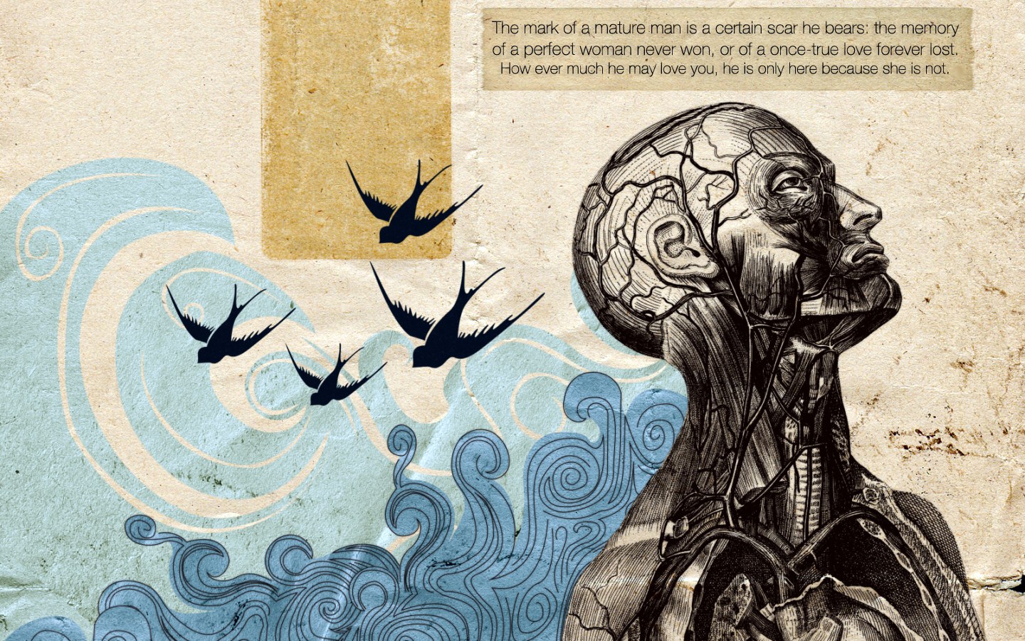 Anatomical man with birds